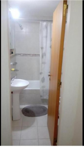 Hermoso apartamento céntrico con parrilla y cochera!